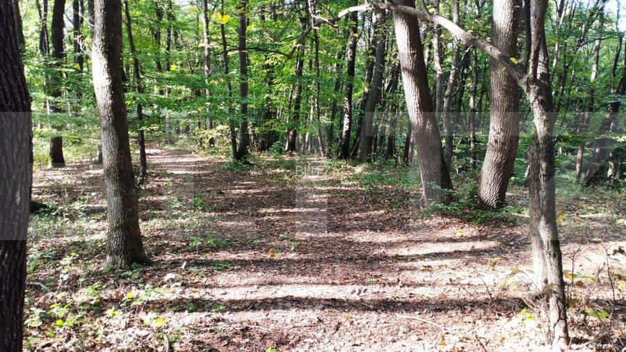 Teren intravilan 3387 mp, zona Faget, pentru agrement! - 3