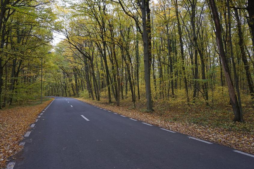 Teren intravilan | Snagov | Izvorani | 2800mp | Stradal