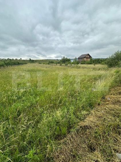 Teren intravilan pentru investit 5200 mp