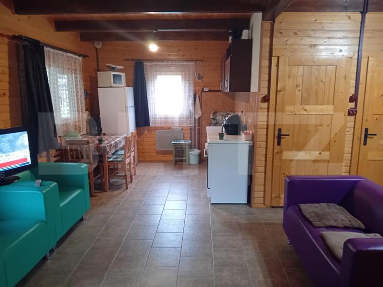 Cabană + teren generos, 60 mp utili, 30 km de Deva - Boz