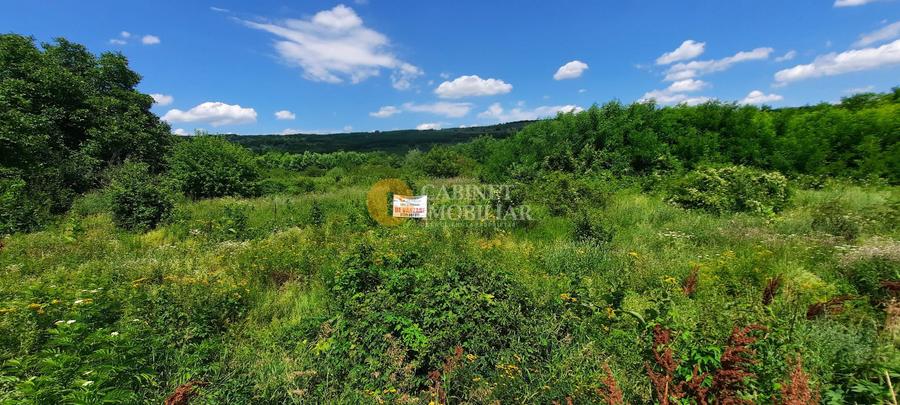 🌳 🌞🌿 TEREN INTRAVILAN 2800 mp - 30 Euro/mp - RATE LA NOTARIAT ! 🌳🌞🌿
