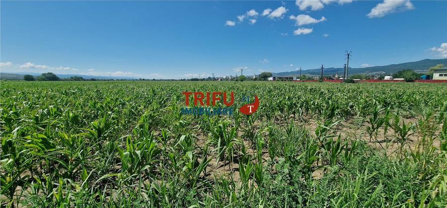 Teren de vanzare langa soseaua de centura, 5100 mp