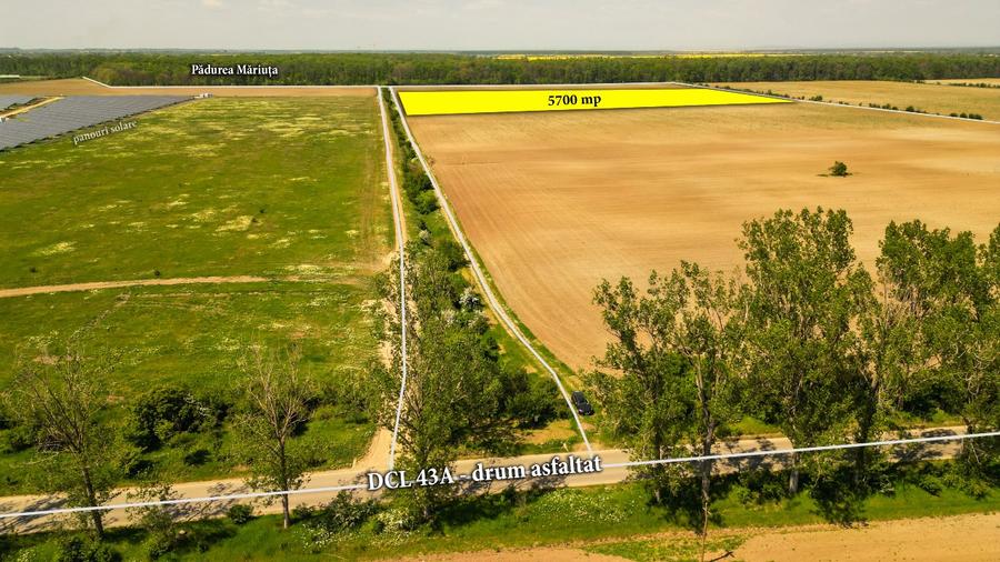 Teren intravilan 5700 mp Răcari lângă Pădurea Măriuța - oportunitate investiție