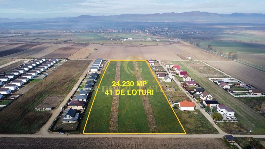 Teren de vânzare – Hălchiu, Brașov | Ideal investiție / dezvoltare rez
