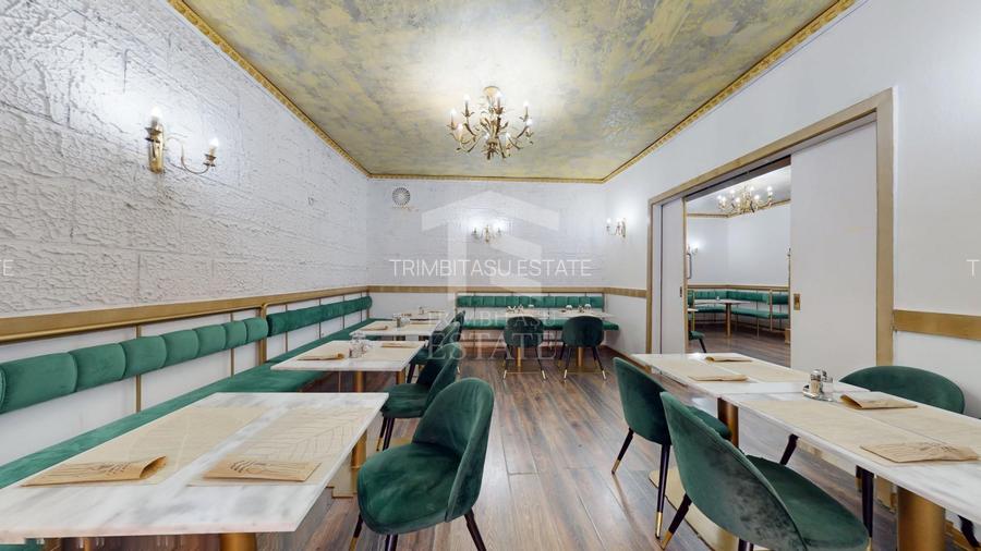Spatiu comercial cu teren Arcul de Triumf - 8