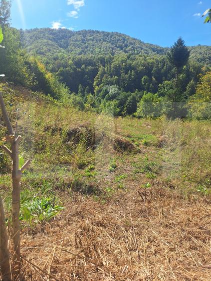 Teren de vanzare, 4847 mp, cabana, zona Nadrag
