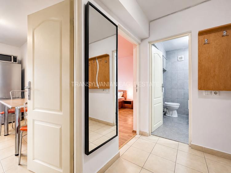 Apartament cu o camera, zona Calea Turzii/Buna Ziua - 8