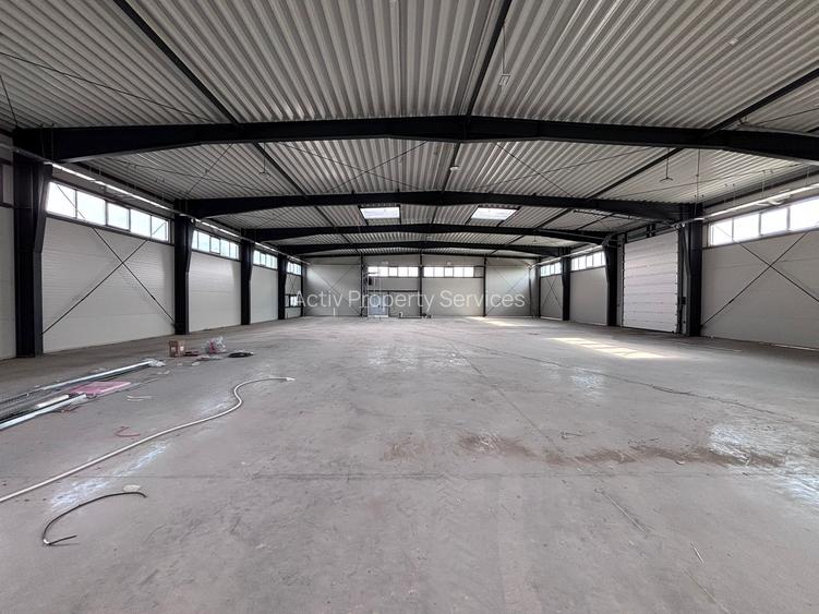 Hală industrială nouă depozitare de inchiriat Zona Industrială Sânandrei DN69 - 10