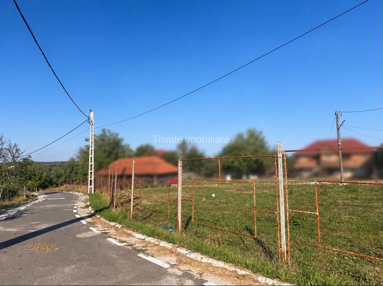 Teren Albota 1312 mp - deschidere 44 metri - toate utilitatile