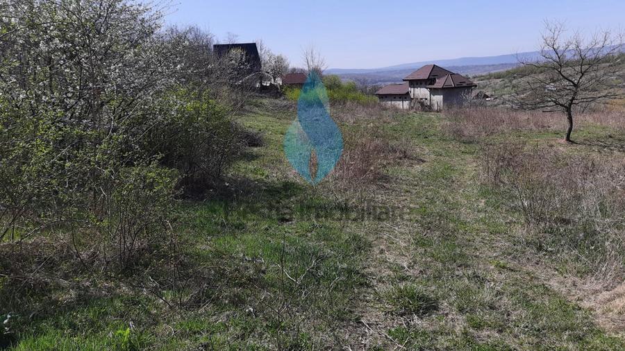 1309mp teren intravilan pentru constructii, Barnova.