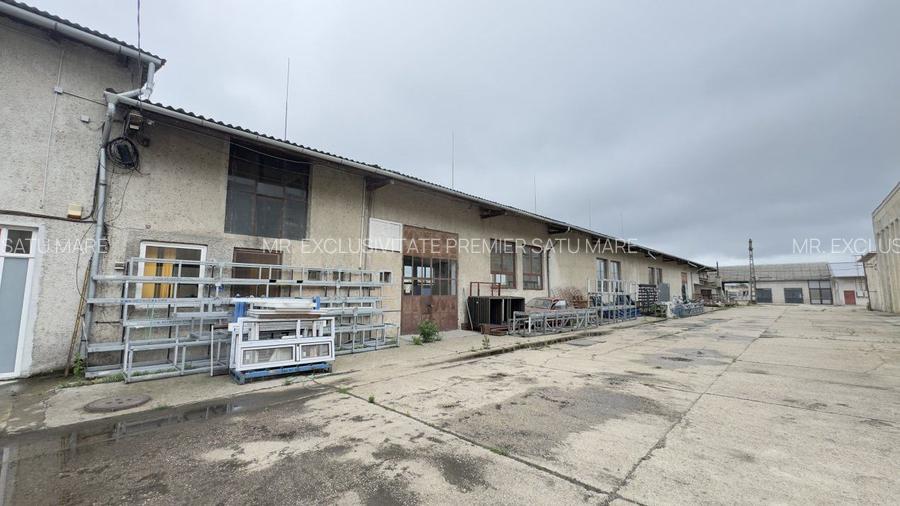 Inchiriere Clădire Producție, Depozitare, Birouri-Teren 3140 mp - Carei - 12