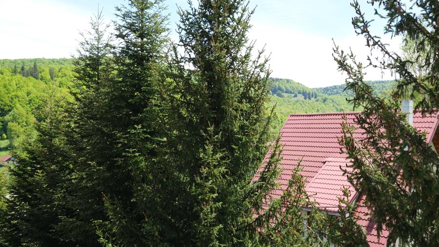 Vanzare casa mare la munte langa padure  Cheia judetul Prahova locatie excelenta