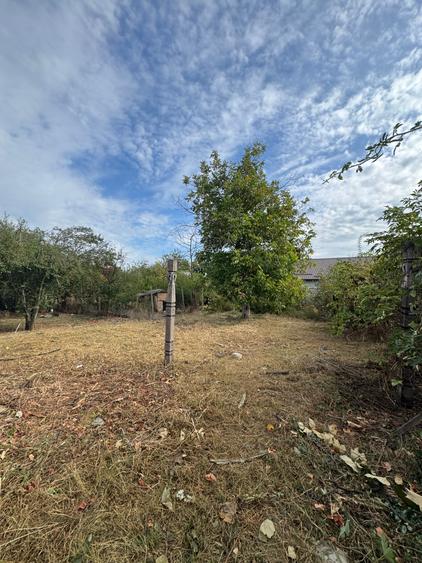 Casa + teren 1.065 mp | Domnesti – Zona Toamnei | Deschidere 20 ml