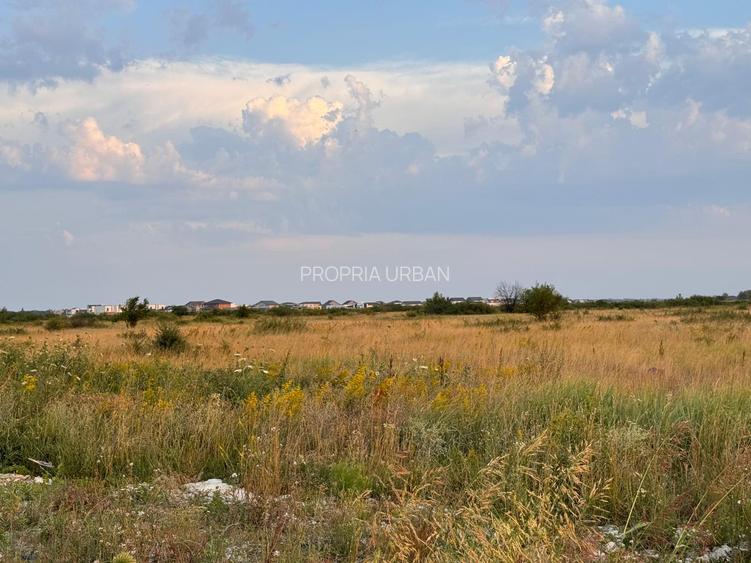 PARCELE DE VÂNZARE – MOȘNIȚA NOUĂ (în spatele Castelului)-Timisoara - 5