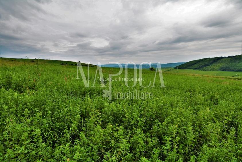 Teren extravilan pentru constructii de vanzare in Popesti - 2