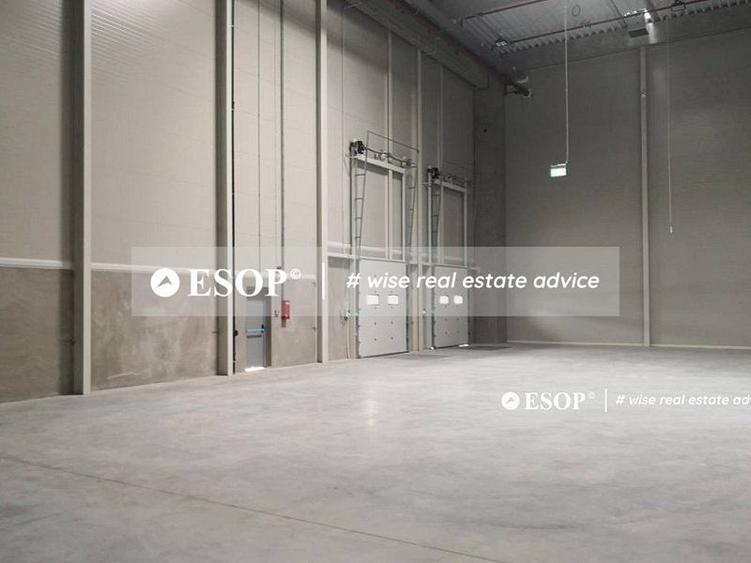 WDP Industrial Park Stefanesti, spatii industriale, 5.000 - 53.000mp