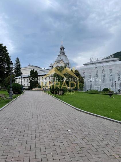 Vanzari Case / Vile SINAIA - 22
