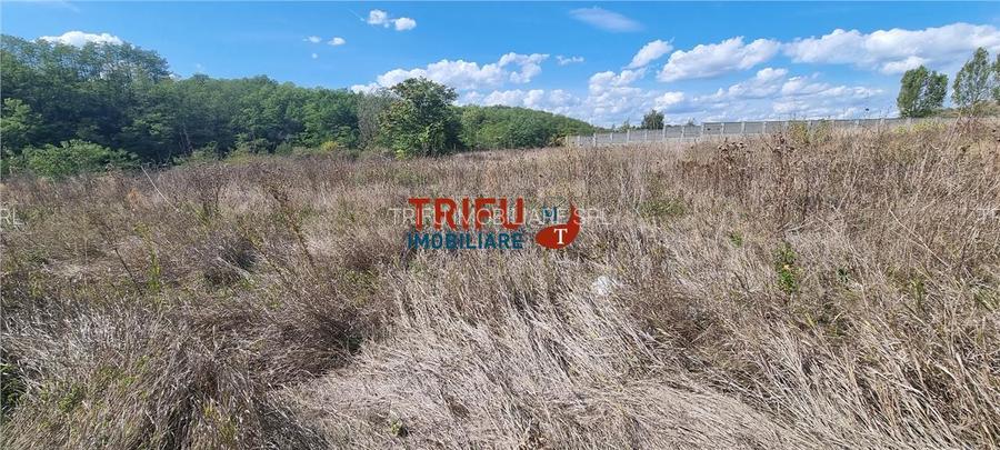 Teren intravilan 2100 mp de vanzare in Teleac la asfalt cu toate utilitatile - 3