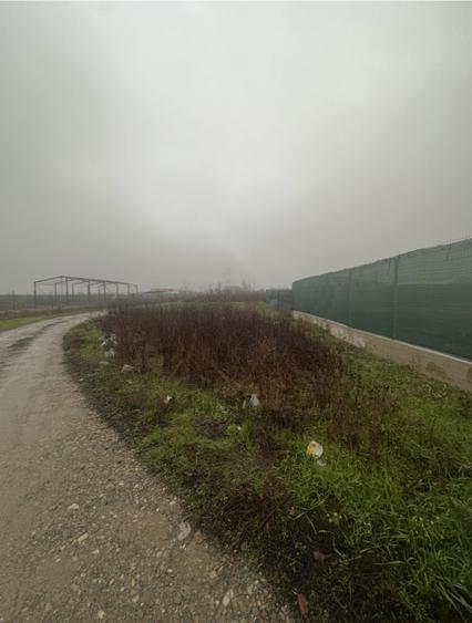 Teren INTRAVILAN de vânzare în CLINCENI-Bragadiru 587 mp
