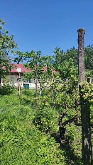 Casă bătrânească în Davideni – curte generoasă de 2.000 mp - 12