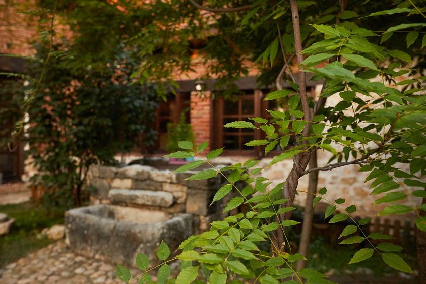 CASA THEA | INVESTIȚIE ÎN TURISM, GASTRONOMIE ȘI EXPERIENȚE | SOCOLARI