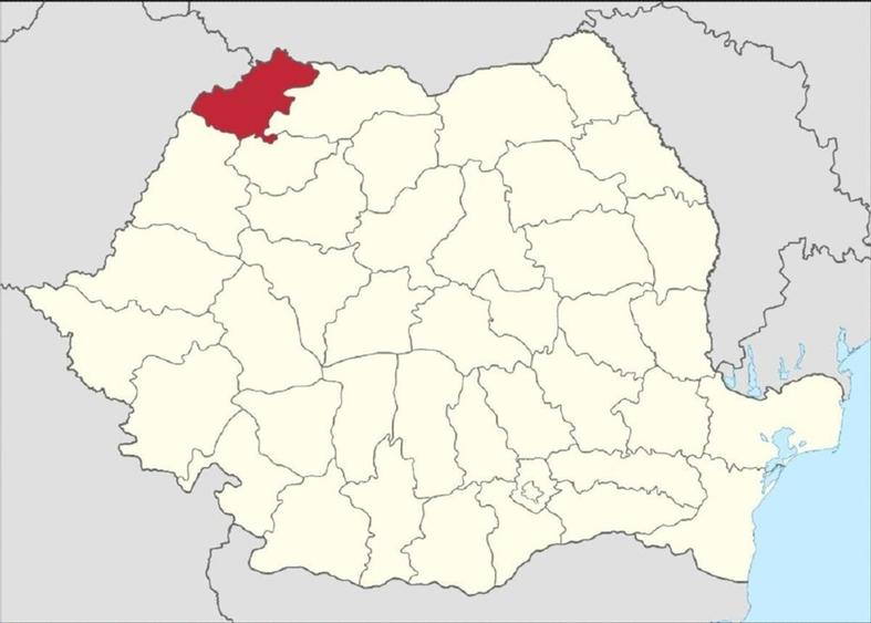 De vanzare hala cu teren in Satu Mare