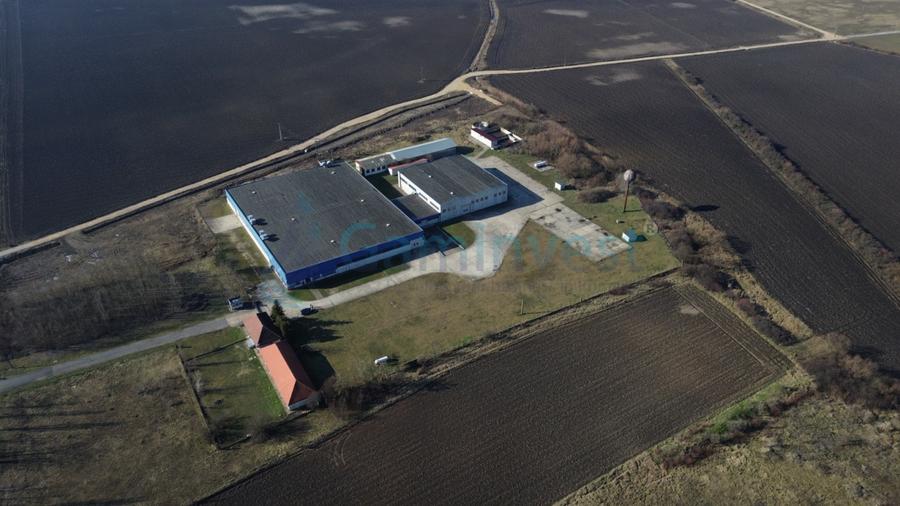 Hală Industrială de vanzare 6500 mp în Madaras la 30 km de Oradea, Bihor