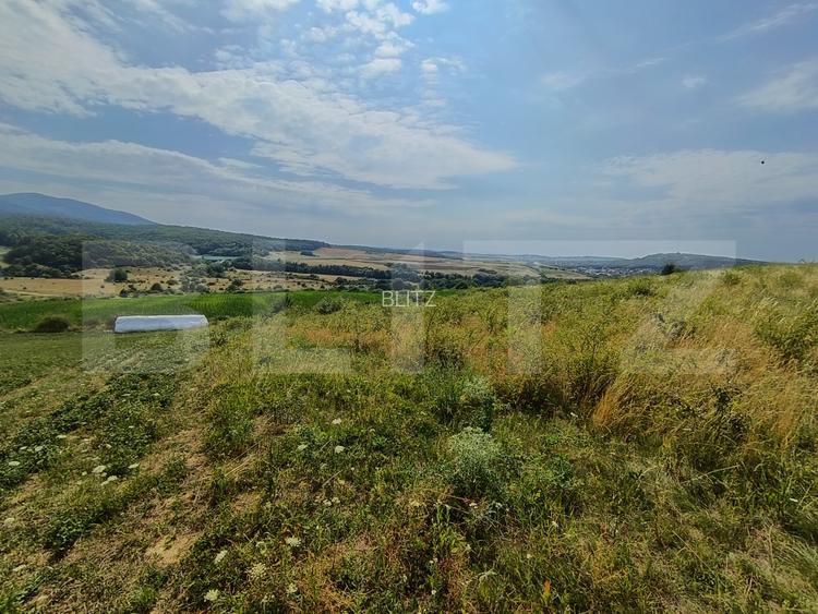 Teren extravilan, de vanzare, 6500 mp,  zona Crasnei - 5