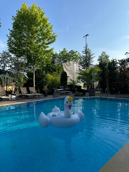 Vila grandioasa, Gradina Japoneza, SPA, Crama, Teren Tenis, Foisor, Iaz Pesti