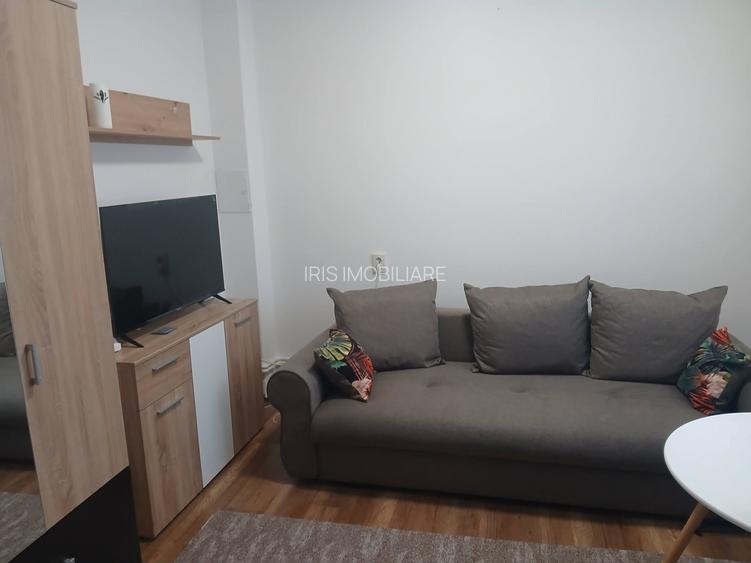290 euro! Garsoniera, Alexandru cel bun - 4