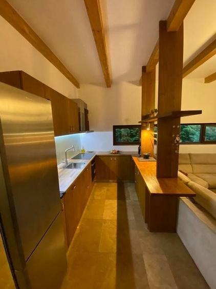 Casă premium Făget | Proiect premiat | Saună | Grădină privată