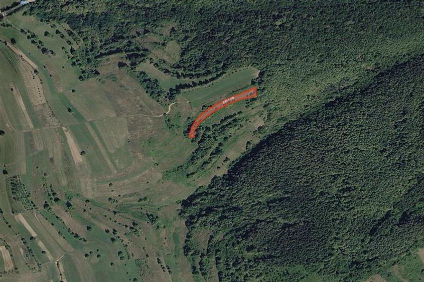 Portofoliu funciar de peste 10 hectare | Izbuc - Carpinet | Jud. Bihor