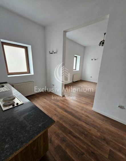 Cotroceni Vila / Casa - Eroilor - Birouri