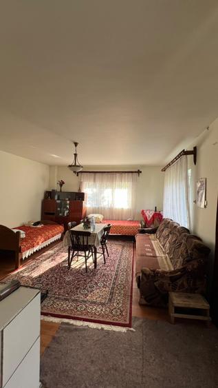 Casă de Vânzare în Dumitra  170 mp  20 Ari de Teren