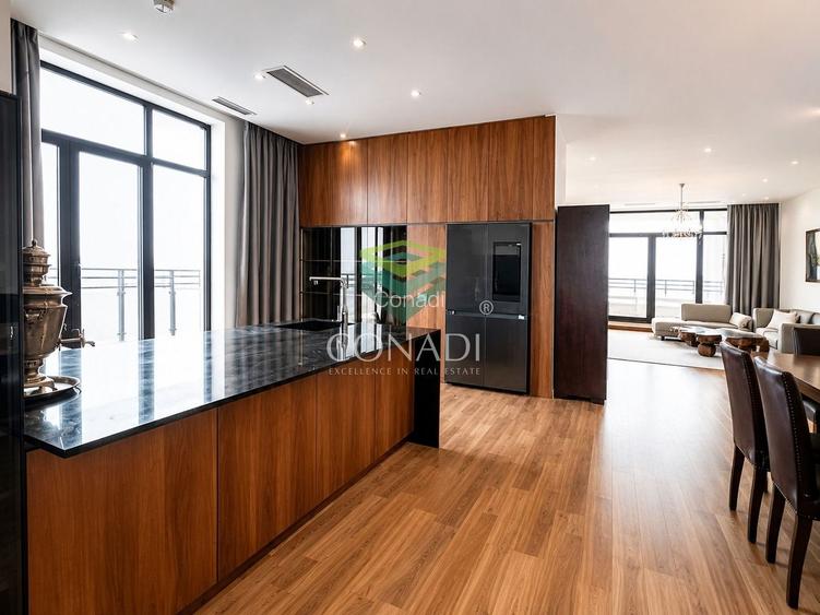 Baneasa-Iancu Nicolae, penthouse de inchiriat, mobilat si utilat - 3
