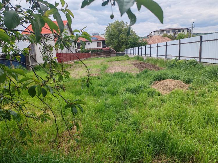 Teren pentru investitie, 700 mp, zona centrala, Avram Iancu.