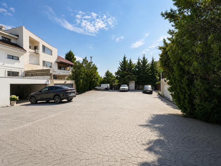 Luxury Residence with Pool and 1000 sqm Garden | Iancu Nicolae