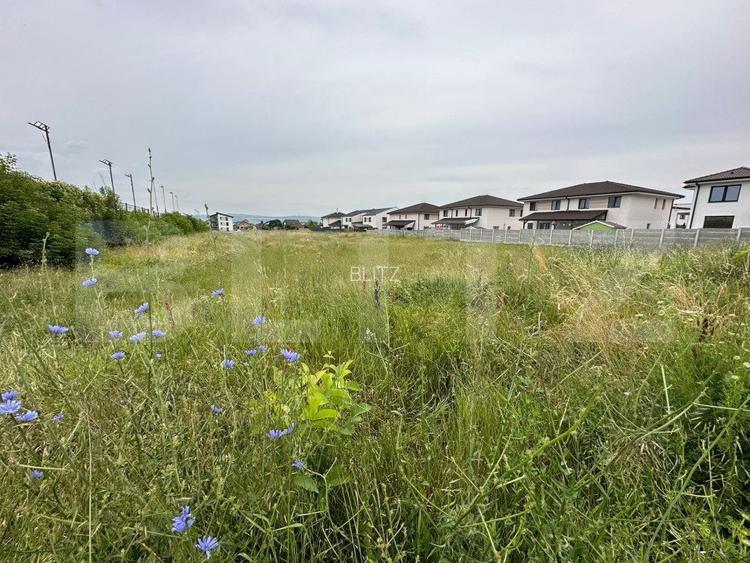 Teren intravilan, 7441mp, zona Lidl Cetate - 2