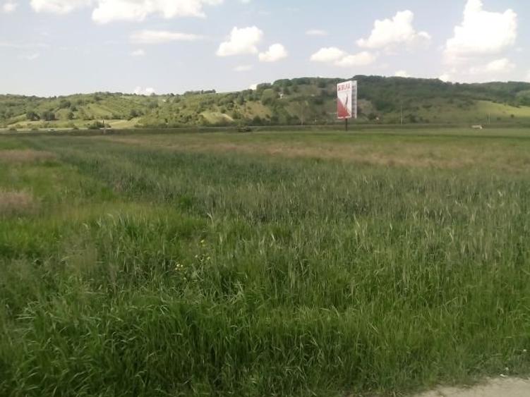 Imobiliare Maxim - teren intravilan la Cristian DN 1