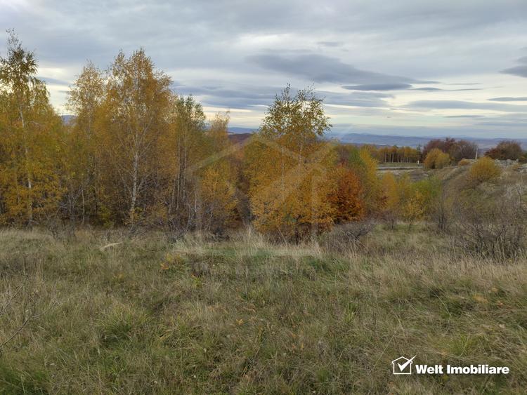 Teren intravilan – Salicea, 971 mp