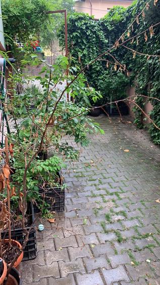 Apartament cu 3 camere,gradina,parcare,zona Campului-Manastur