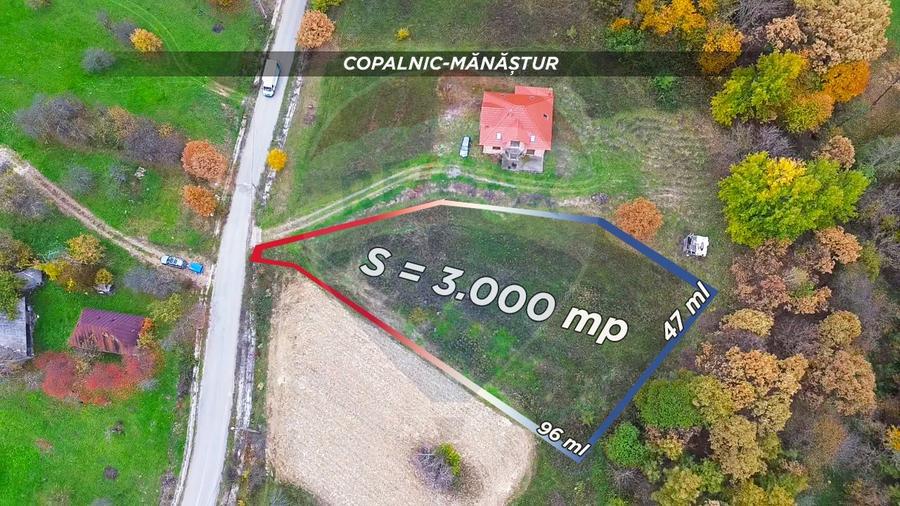 Teren intravilan de vânzare – Copalnic Mănăștur – 3.000 mp