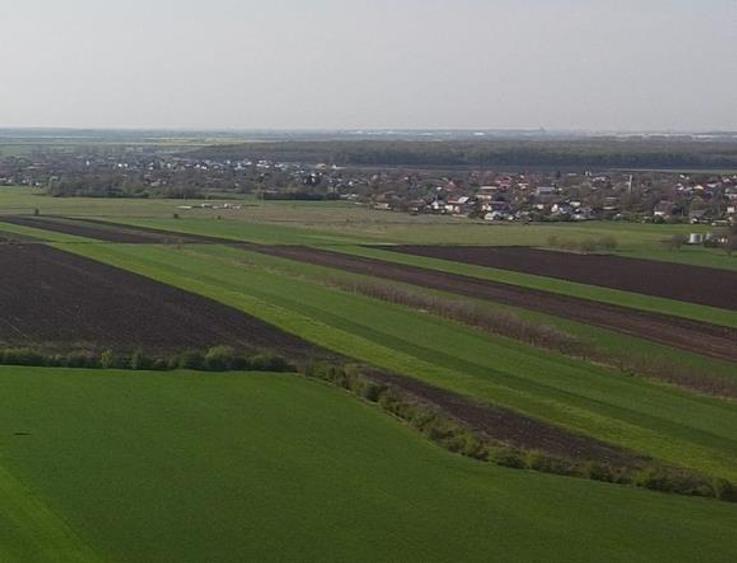 Vanzare Teren Central, Moara Vlasiei