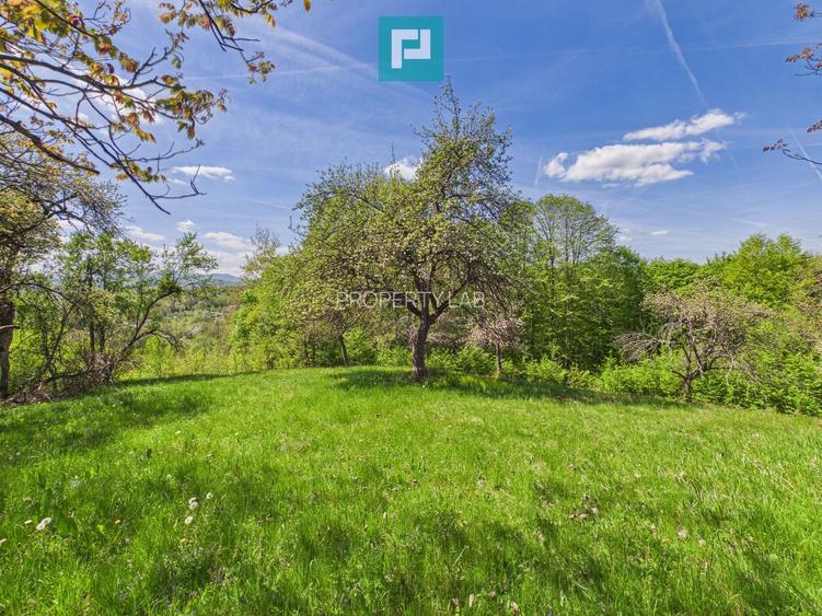 Proprietate rară cu 24.270 mp, în Măgulicea, Arad!