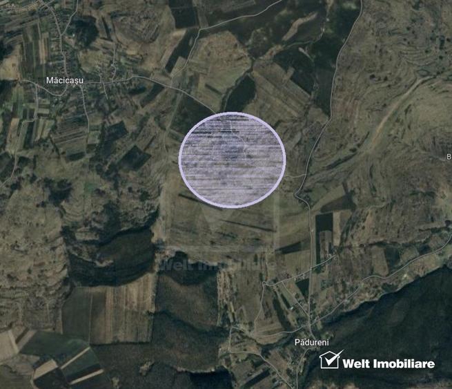Teren in Padureni - Chinteni, 5800 mp, intravilan, Lv1 - viitoare constructii