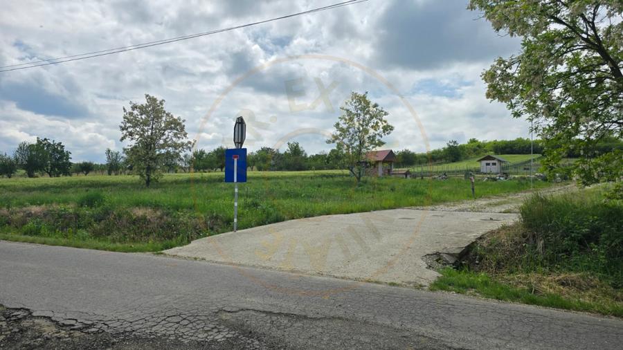 Teren intravilan Ardud Vii Satu Mare