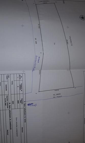 Teren  intravilan 3000 mp, Branesti, 60 E/mp, Toate utilitatile