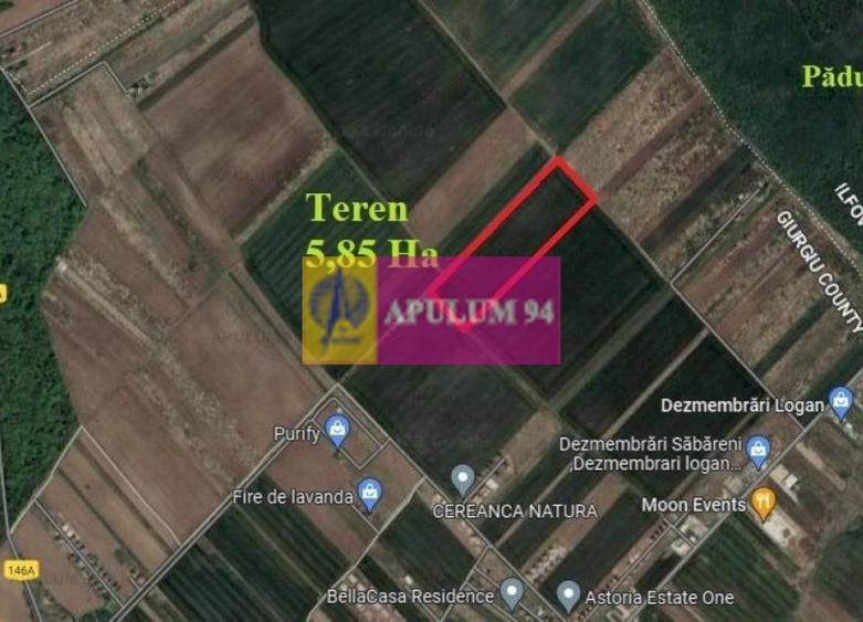 Săbăreni, teren 5,85 ha, intravilan rezidențial, între 2 păduri