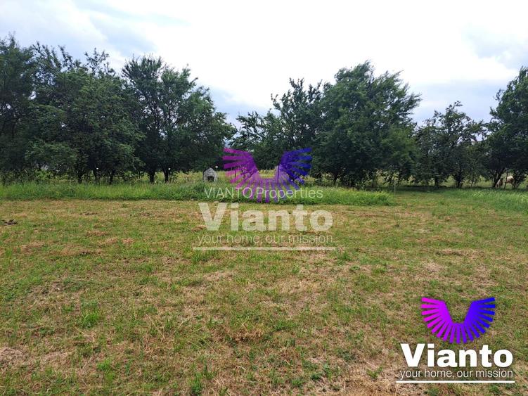Teren intravilat| Zona rezidentila 1156 mp-TURNISOR - 3
