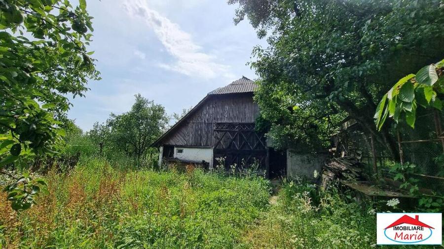 Casa in Viile Satu Mare cu teren mare 55000 Euro
